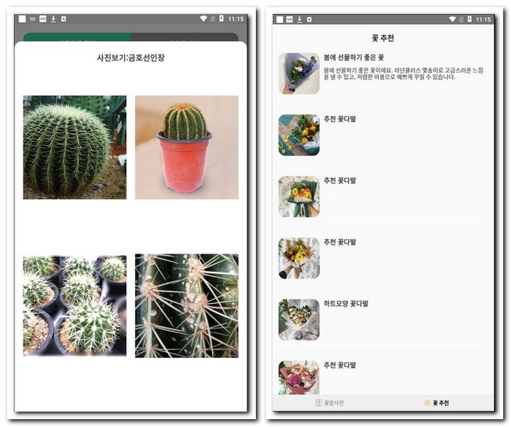 꽃이름 알아보기 식물 이름 알려주는 앱