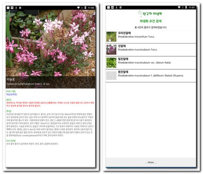 꽃이름 알아보기 식물 이름 알려주는 앱
