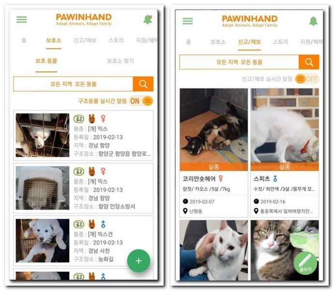 유기견 무료분양 어플 반려동물 앱 4가지