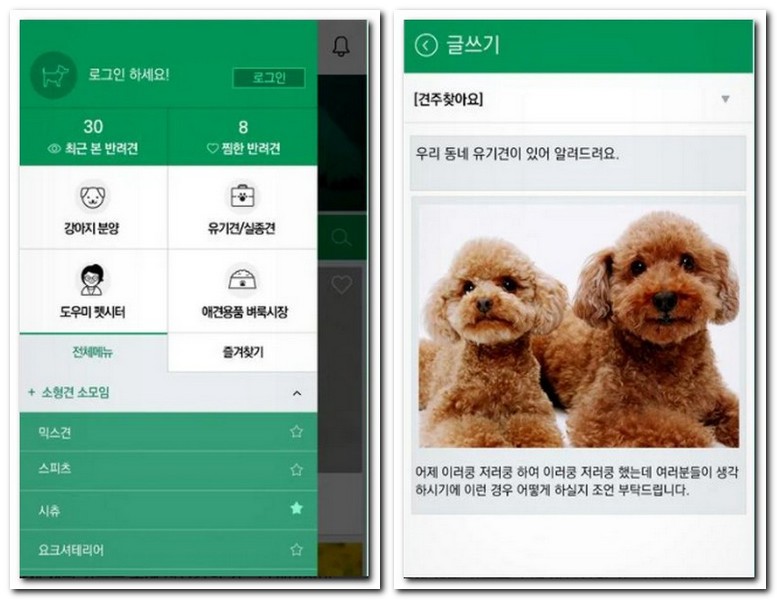 유기견 무료분양 어플 반려동물 앱 4가지