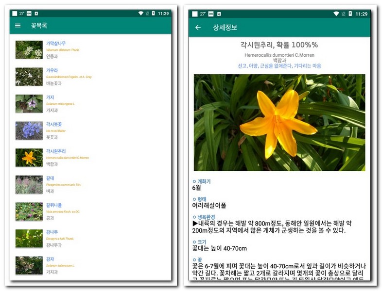 카메라로 꽃이름 찾기 여름꽃 종류 찾는 법